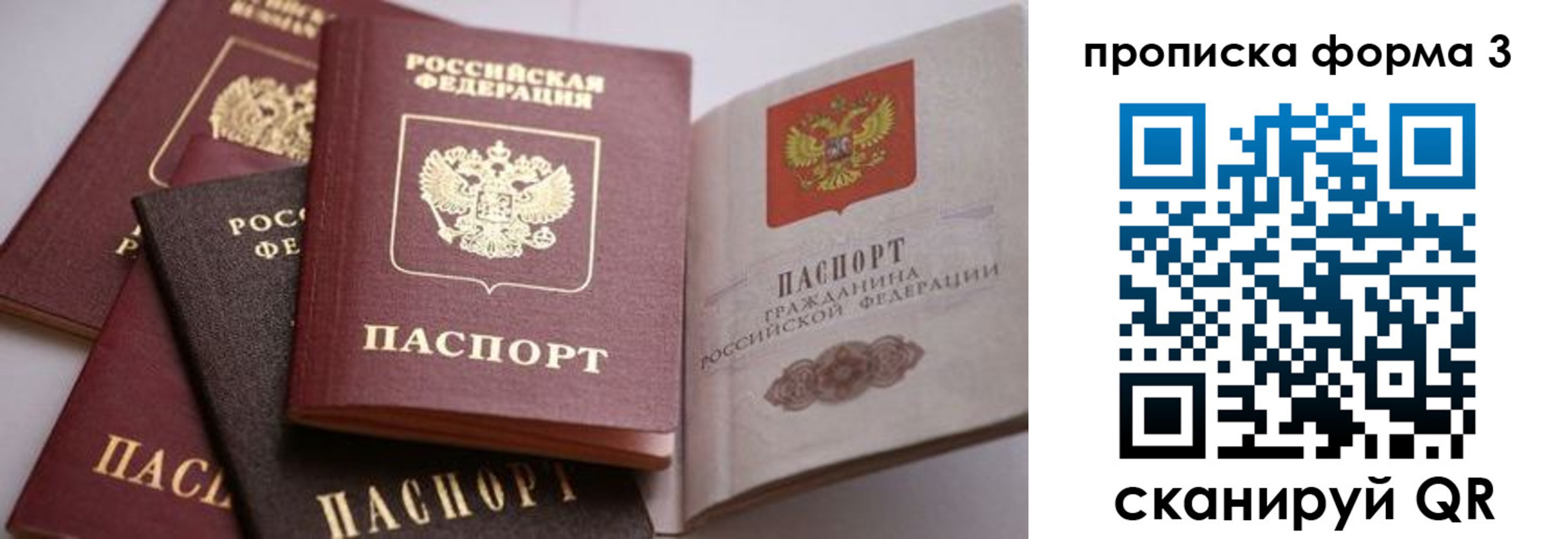 прописка для школы в Дорогобуже